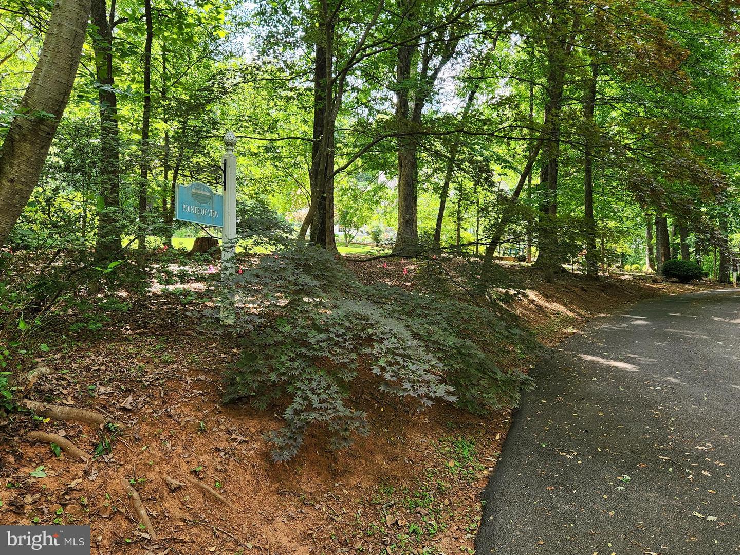 MOORMONT RD, RAPIDAN, Virginia 22733, ,Land,For sale,MOORMONT RD,VAOR2007242 MLS # VAOR2007242