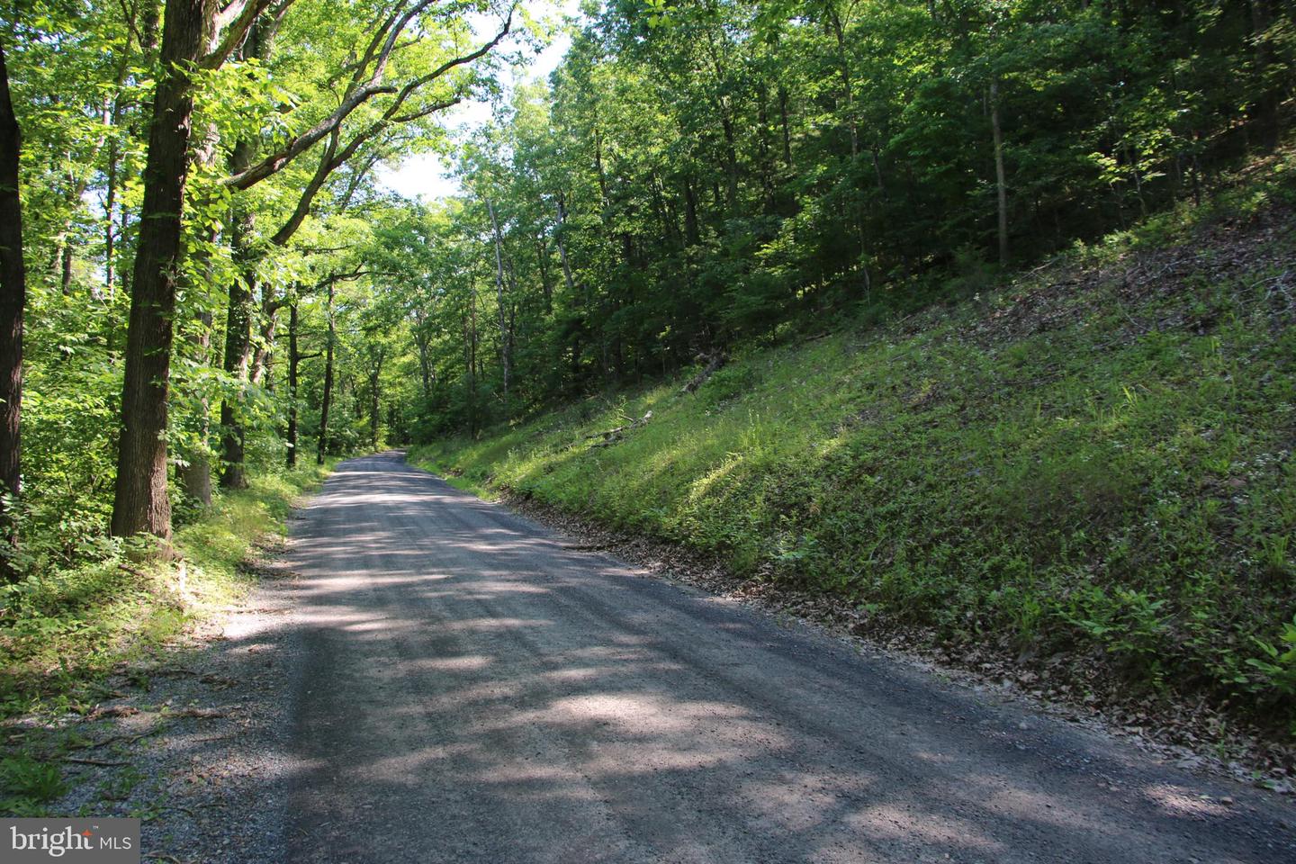 BRUSH CREEK RD, CROSS JUNCTION, Virginia 22625, ,Land,For sale,BRUSH CREEK RD,VAFV2019604 MLS # VAFV2019604