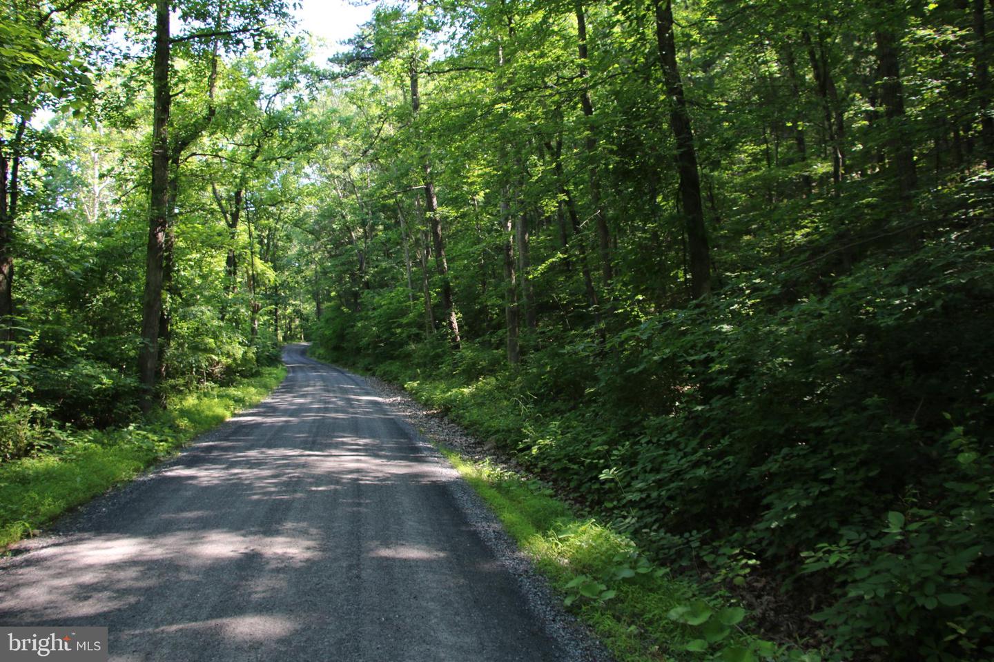 BRUSH CREEK RD, CROSS JUNCTION, Virginia 22625, ,Land,For sale,BRUSH CREEK RD,VAFV2019604 MLS # VAFV2019604