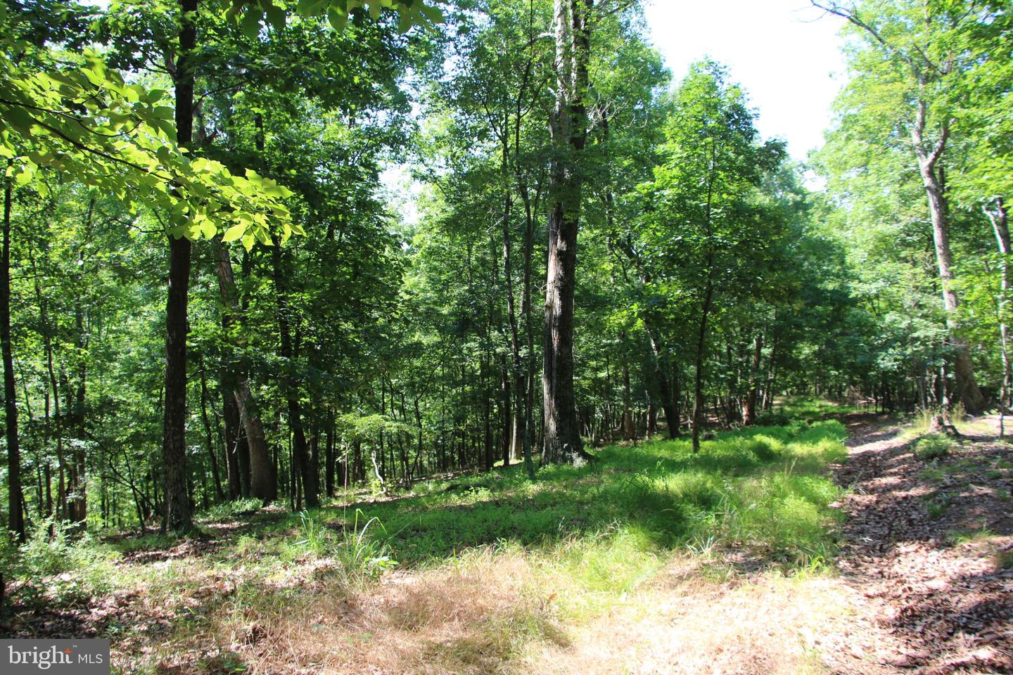 BRUSH CREEK RD, CROSS JUNCTION, Virginia 22625, ,Land,For sale,BRUSH CREEK RD,VAFV2019604 MLS # VAFV2019604