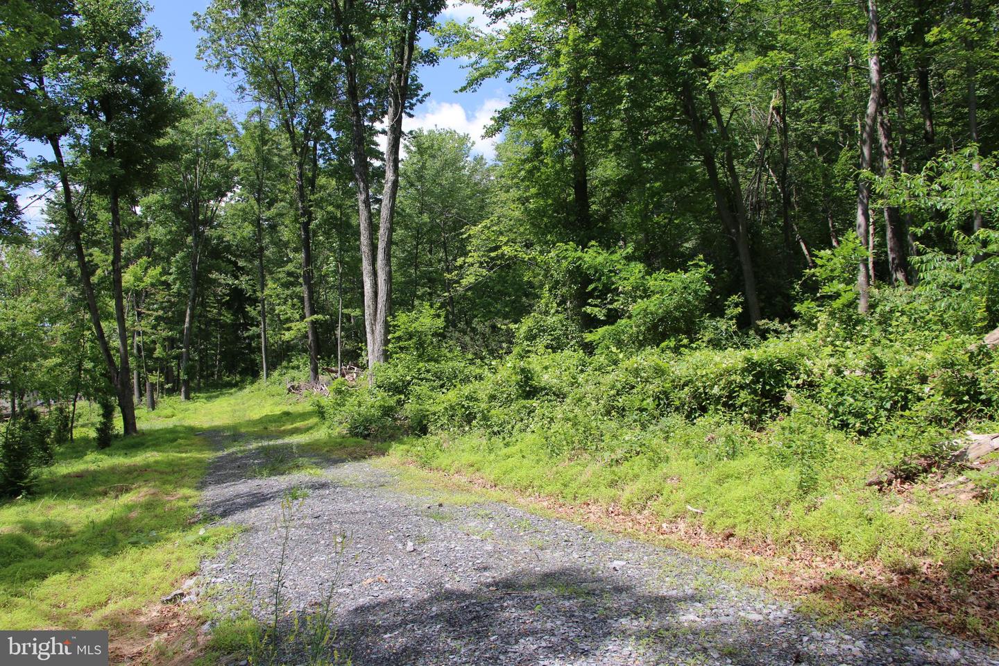 GOUGH RD, WINCHESTER, Virginia 22602, ,Land,For sale,GOUGH RD,VAFV2019606 MLS # VAFV2019606