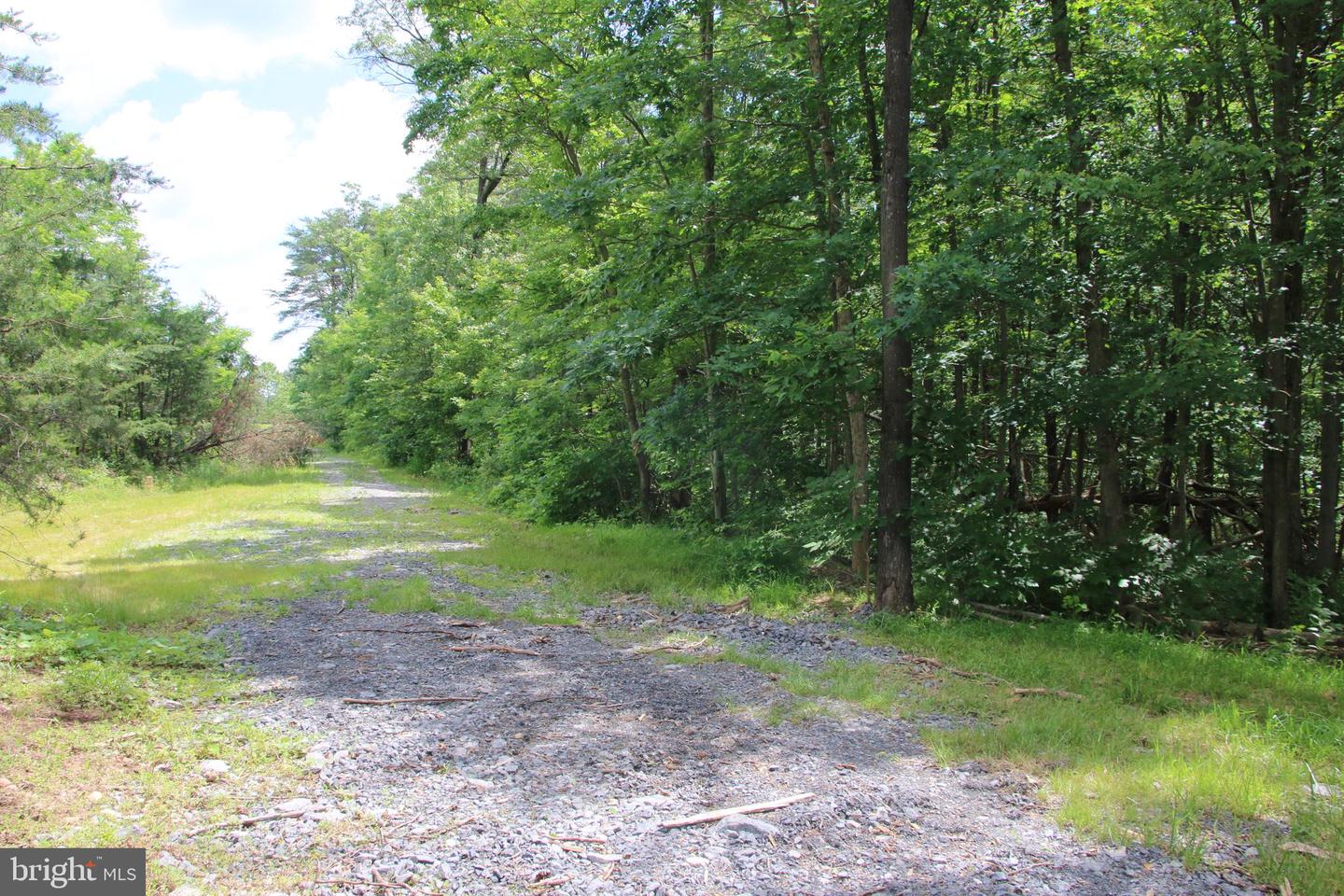 GOUGH RD, WINCHESTER, Virginia 22602, ,Land,For sale,GOUGH RD,VAFV2019606 MLS # VAFV2019606