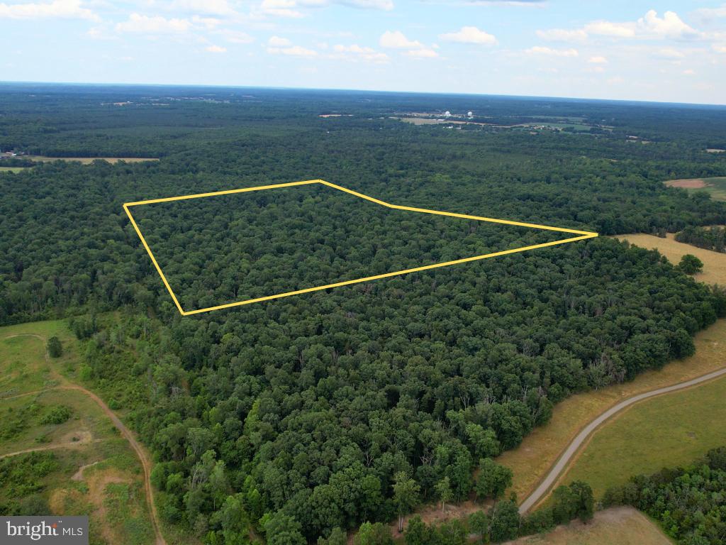 0 SWAMP POODLE LN, CULPEPER, Virginia 22701, ,Farm,For sale,0 SWAMP POODLE LN,VACU2008162 MLS # VACU2008162