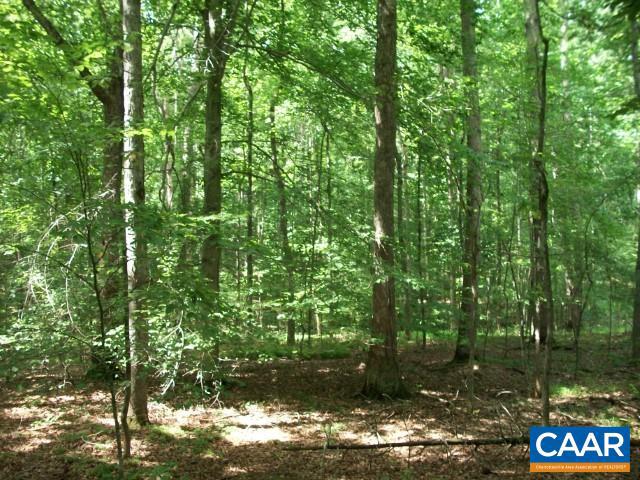 LOT 36 FOXWOOD DR #36, BARBOURSVILLE, Virginia 22923, ,Land,For sale,LOT 36 FOXWOOD DR #36,633264 MLS # 633264