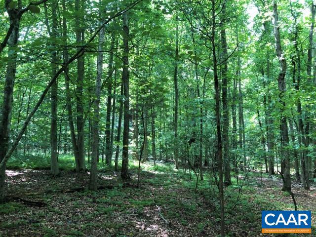 LOT 36 FOXWOOD DR #36, BARBOURSVILLE, Virginia 22923, ,Land,For sale,LOT 36 FOXWOOD DR #36,633264 MLS # 633264