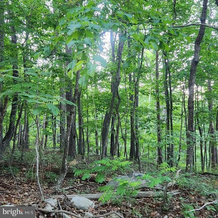 LOT C7 PATTYS PLACE, LURAY, Virginia 22835, ,Land,For sale,LOT C7 PATTYS PLACE,VAPA2003684 MLS # VAPA2003684