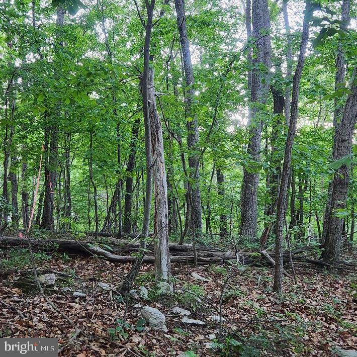 LOT C7 PATTYS PLACE, LURAY, Virginia 22835, ,Land,For sale,LOT C7 PATTYS PLACE,VAPA2003684 MLS # VAPA2003684