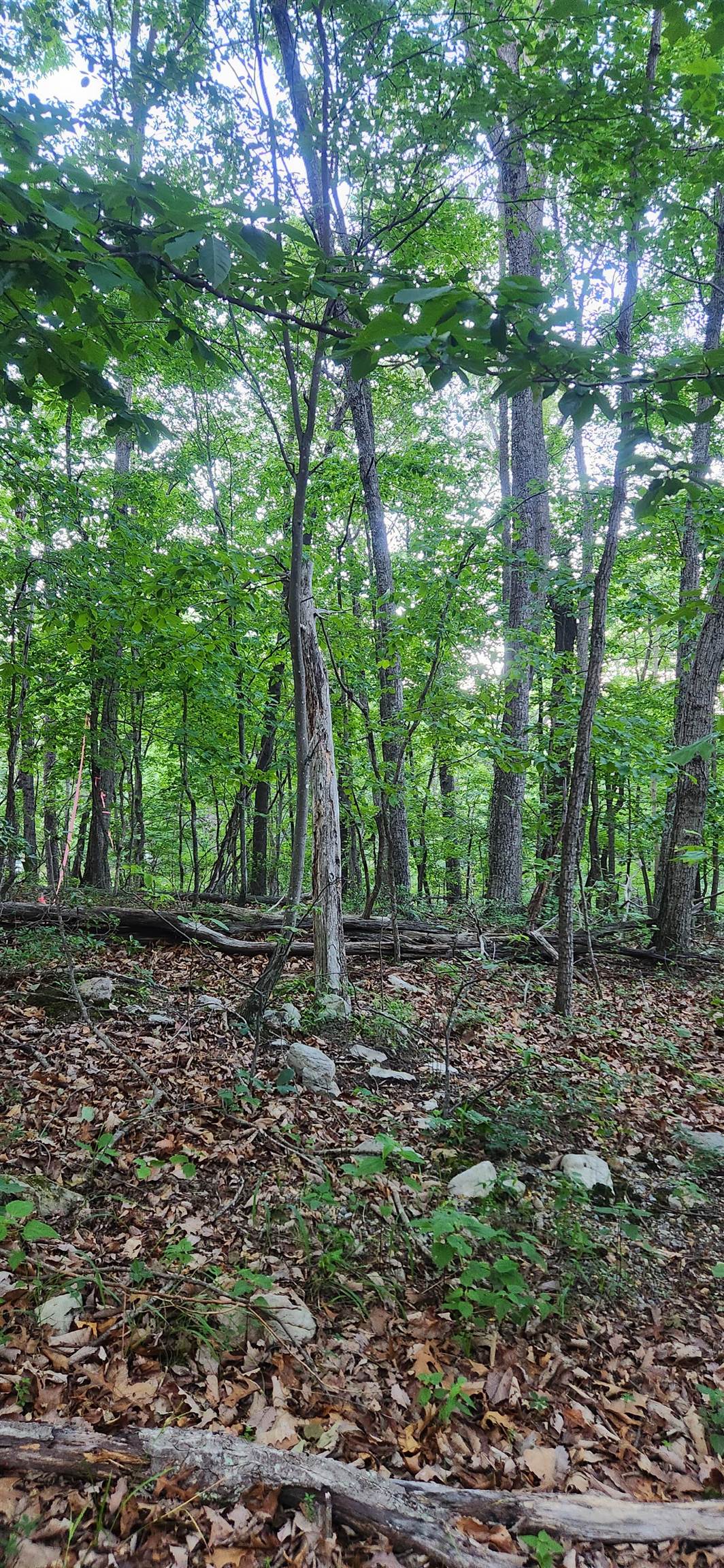 Lot C7 PATTYS PL, LURAY, Virginia 22835, ,Land,Lot C7 PATTYS PL,654077 MLS # 654077