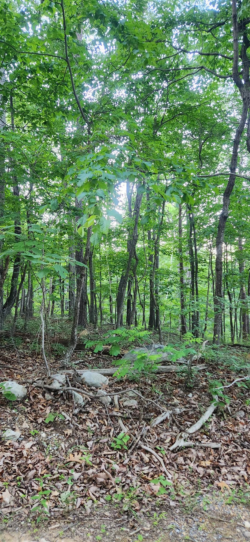 Lot C7 PATTYS PL, LURAY, Virginia 22835, ,Land,Lot C7 PATTYS PL,654077 MLS # 654077