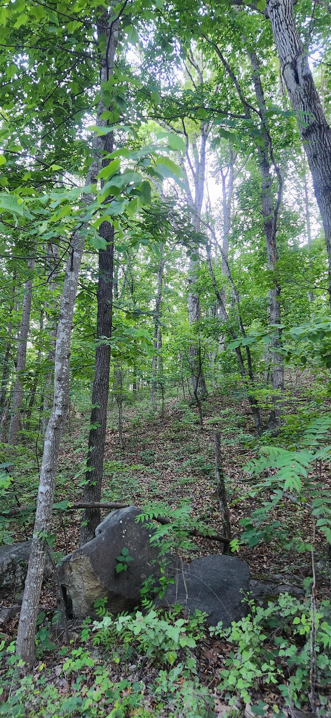 Lot C7 PATTYS PL, LURAY, Virginia 22835, ,Land,Lot C7 PATTYS PL,654077 MLS # 654077