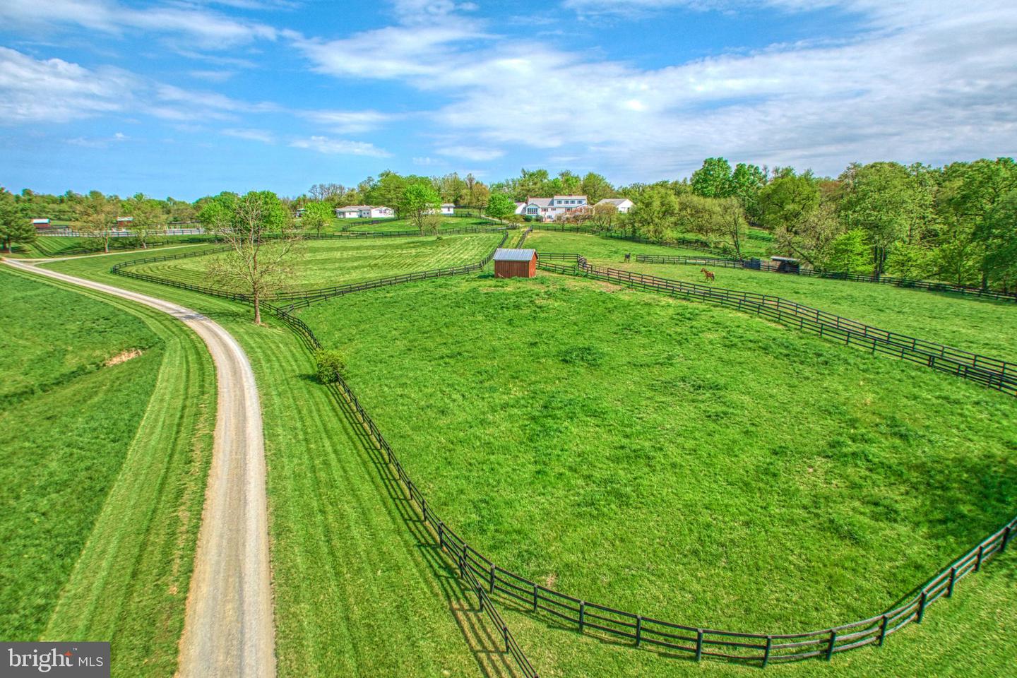 36181 FOXLORE FARM LN, ROUND HILL, Virginia 20141, 4 Bedrooms Bedrooms, ,4 BathroomsBathrooms,Farm,For sale,36181 FOXLORE FARM LN,VALO2070012 MLS # VALO2070012