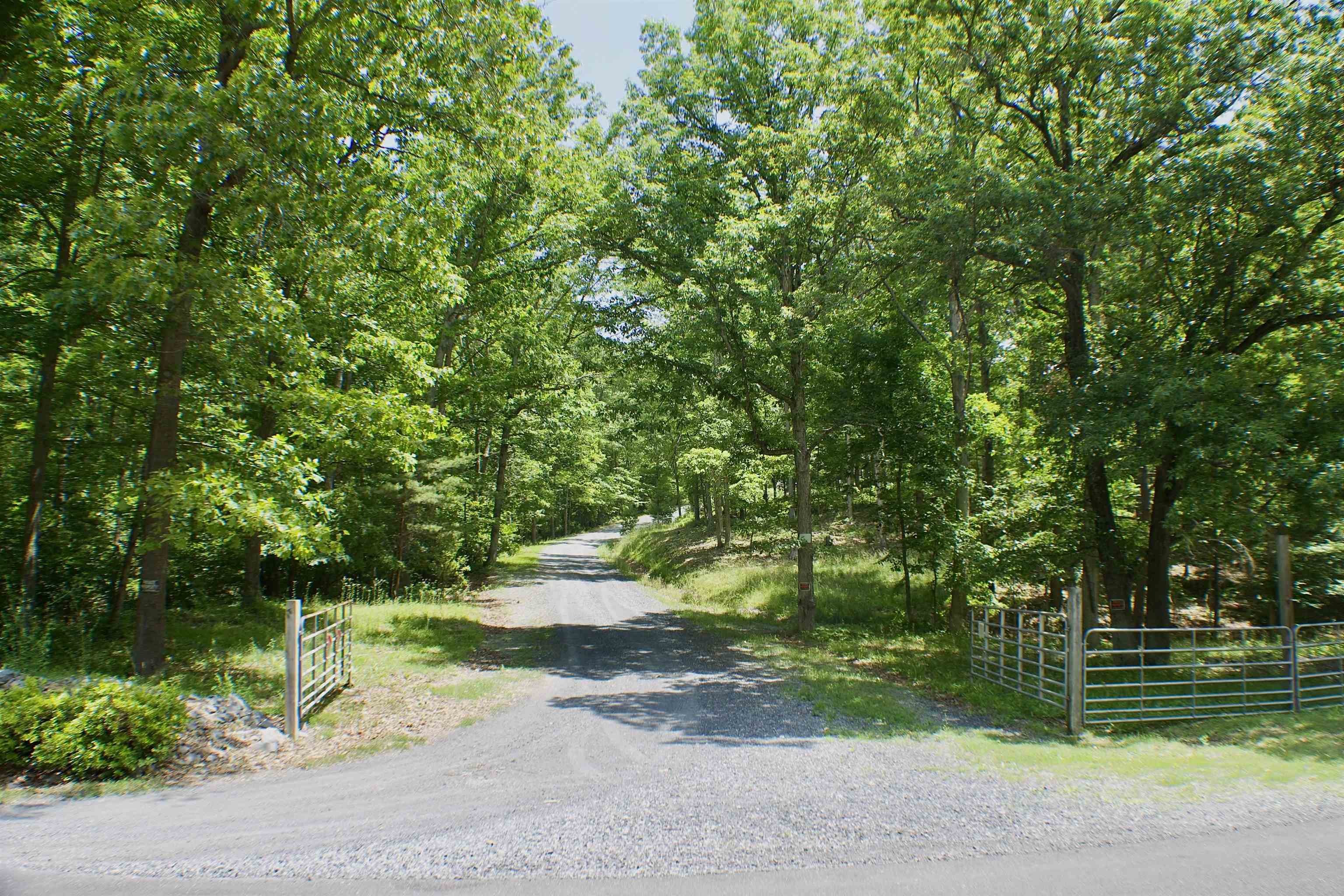 TBD Lot 1 SCENIC HILLS DR, WAYNESBORO, Virginia 22980, ,Land,TBD Lot 1 SCENIC HILLS DR,654131 MLS # 654131