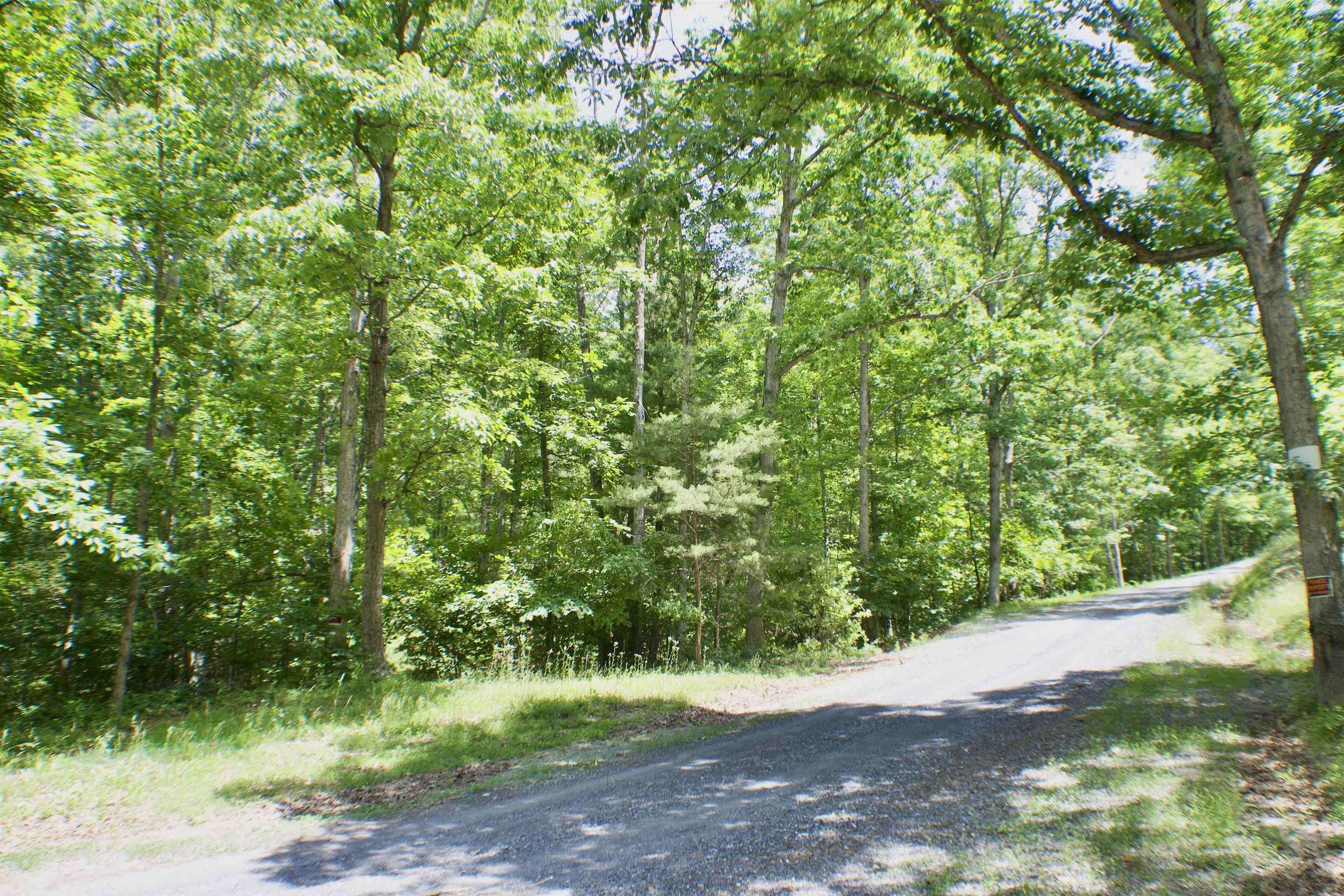 TBD Lot 1 SCENIC HILLS DR, WAYNESBORO, Virginia 22980, ,Land,TBD Lot 1 SCENIC HILLS DR,654131 MLS # 654131