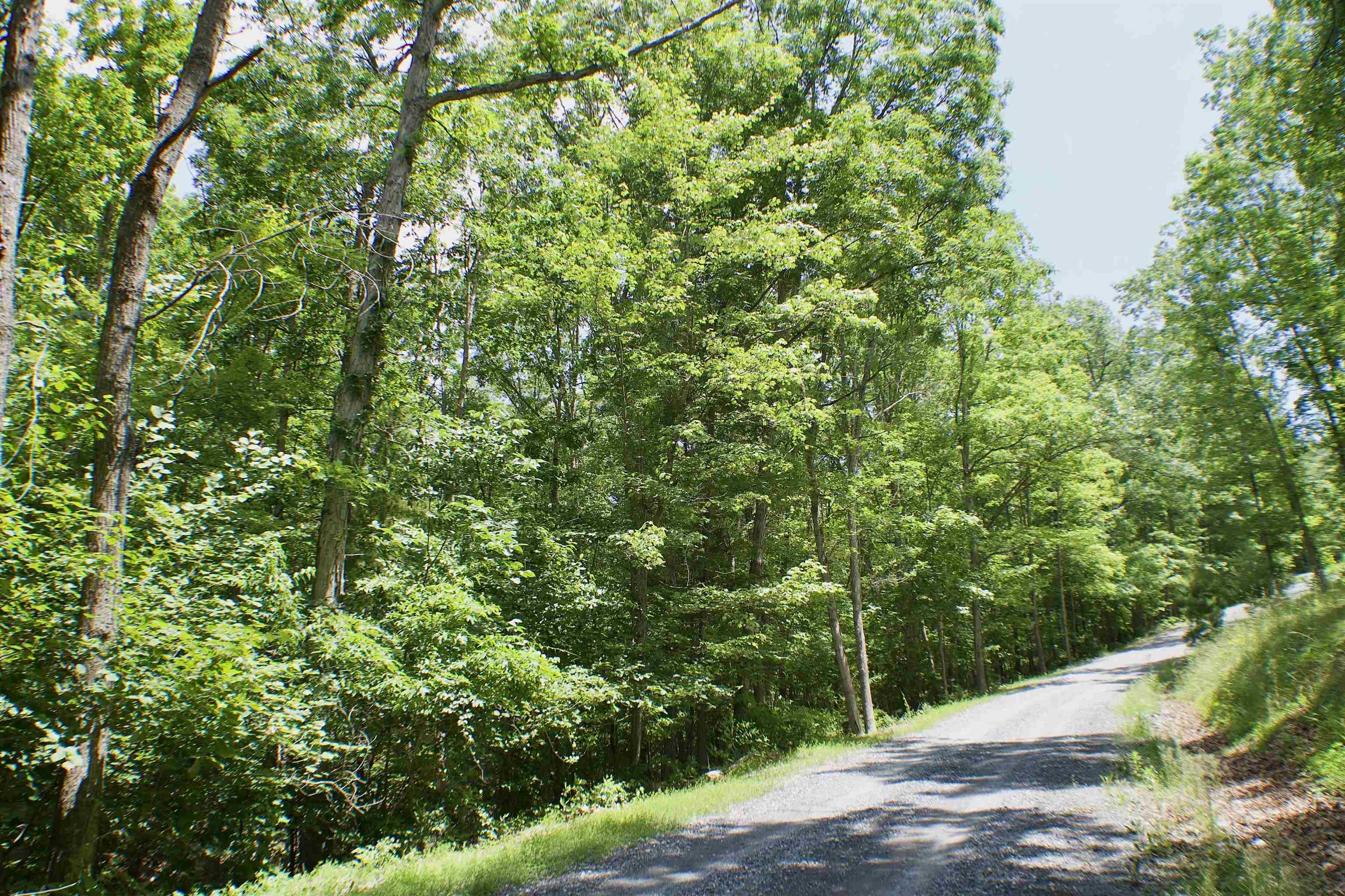 TBD Lot 1 SCENIC HILLS DR, WAYNESBORO, Virginia 22980, ,Land,TBD Lot 1 SCENIC HILLS DR,654131 MLS # 654131