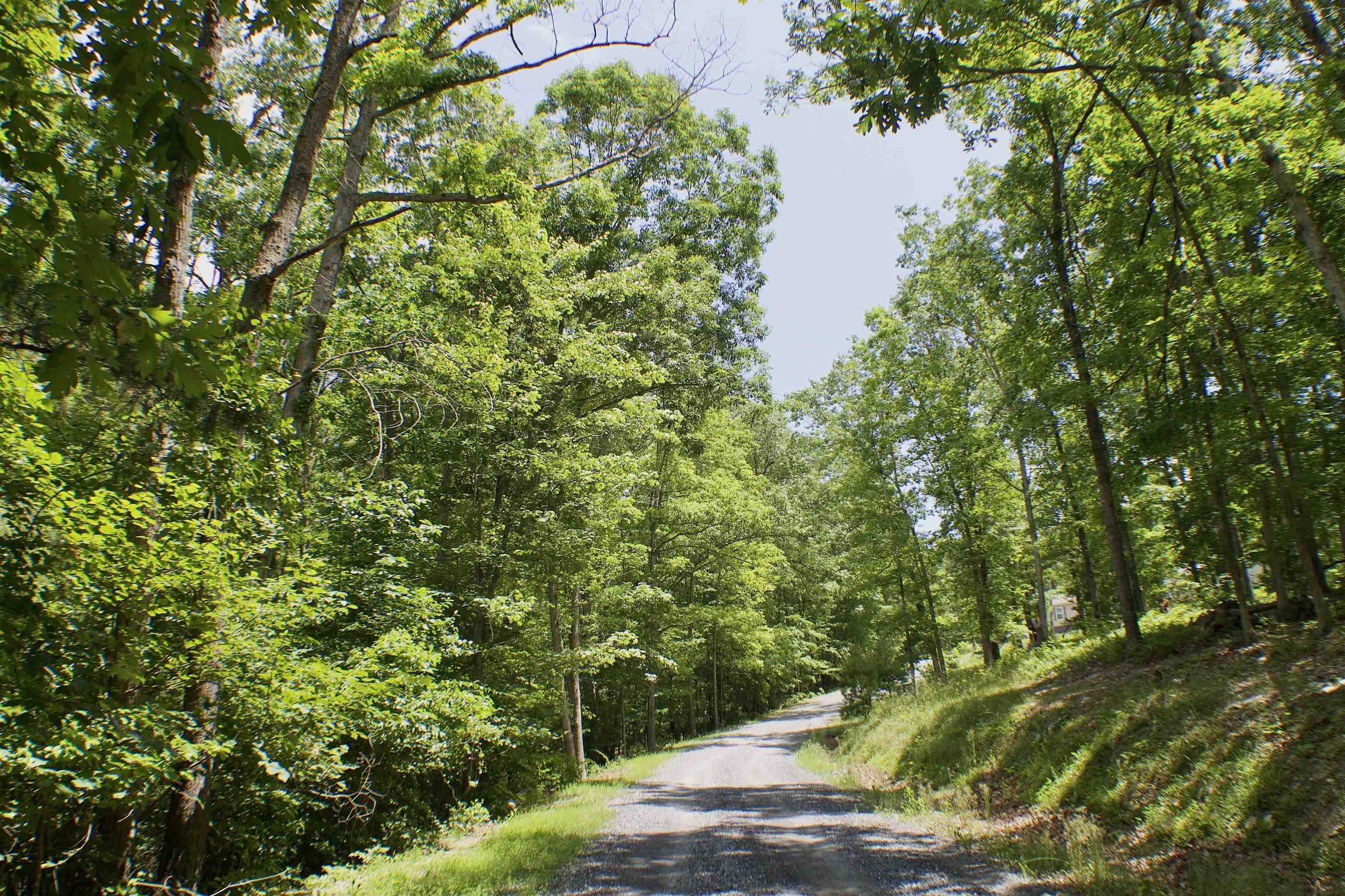 TBD Lot 2 SCENIC HILLS DR, WAYNESBORO, Virginia 22980, ,Land,TBD Lot 2 SCENIC HILLS DR,654133 MLS # 654133