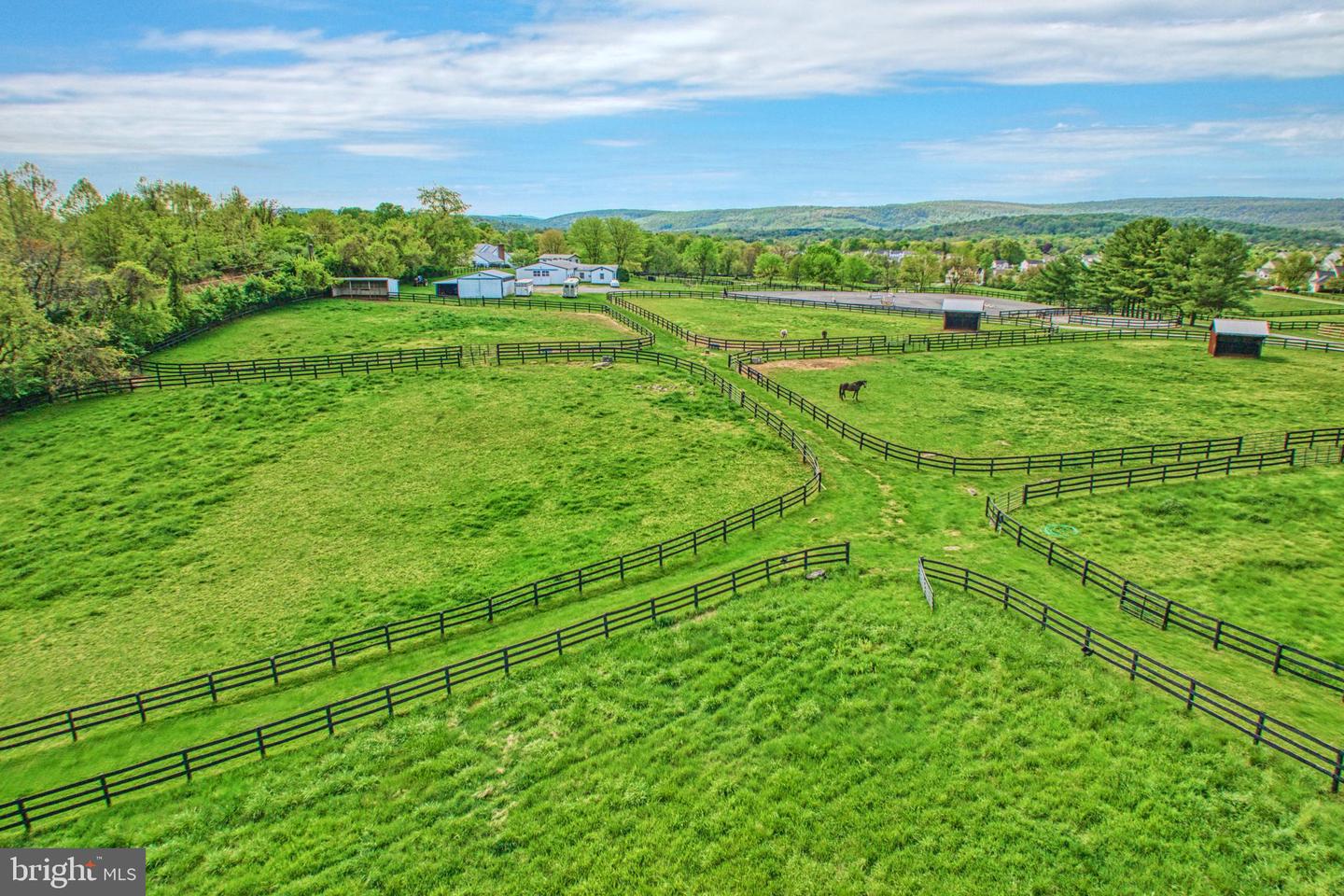 36181 FOXLORE FARM LN, ROUND HILL, Virginia 20141, 4 Bedrooms Bedrooms, ,4 BathroomsBathrooms,Residential,For sale,36181 FOXLORE FARM LN,VALO2069518 MLS # VALO2069518