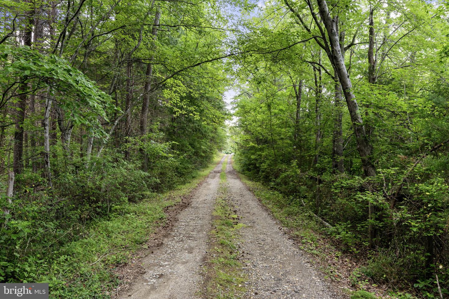 4921 LEWISTON RD, BUMPASS, Virginia 23024, 2 Bedrooms Bedrooms, ,2 BathroomsBathrooms,Farm,For sale,4921 LEWISTON RD,VASP2025930 MLS # VASP2025930