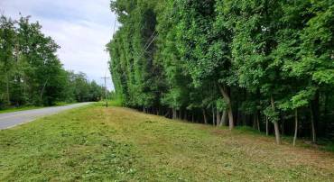 0 TAYLORSTOWN RD, LEESBURG, Virginia 20176, ,Land,For sale,0 TAYLORSTOWN RD,VALO2073986 MLS # VALO2073986