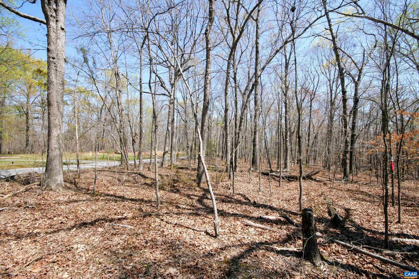 TBD POND RD, BUCKINGHAM, Virginia 23921, ,Land,For sale,TBD POND RD,651650 MLS # 651650