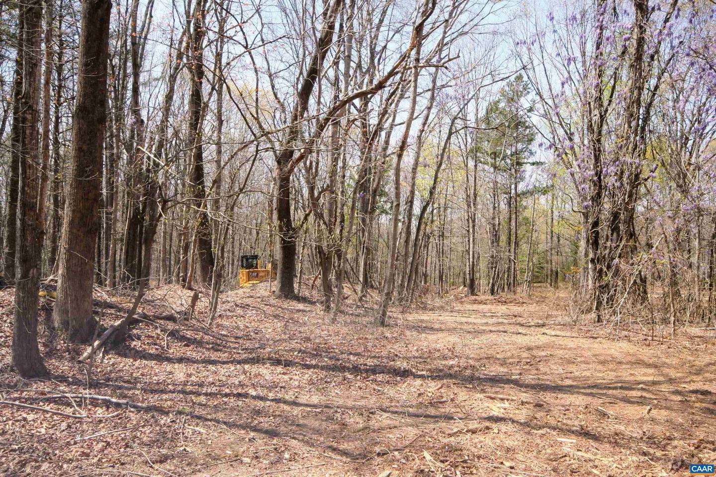 TBD POND RD, BUCKINGHAM, Virginia 23921, ,Land,For sale,TBD POND RD,651650 MLS # 651650