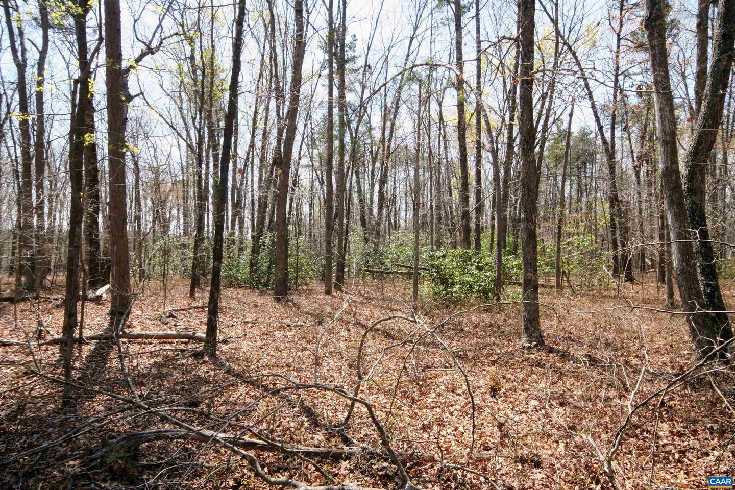 TBD POND RD, BUCKINGHAM, Virginia 23921, ,Land,For sale,TBD POND RD,651650 MLS # 651650