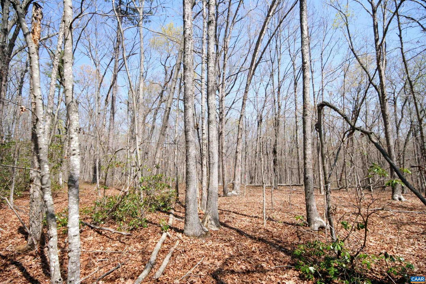 TBD POND RD, BUCKINGHAM, Virginia 23921, ,Land,For sale,TBD POND RD,651650 MLS # 651650