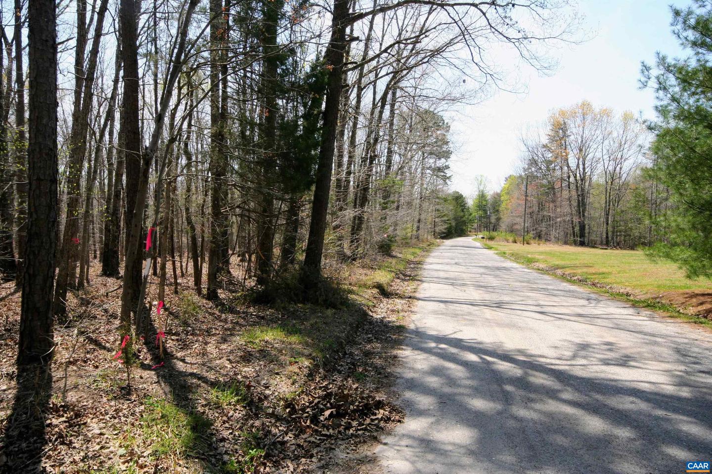 TBD POND RD, BUCKINGHAM, Virginia 23921, ,Land,For sale,TBD POND RD,651650 MLS # 651650