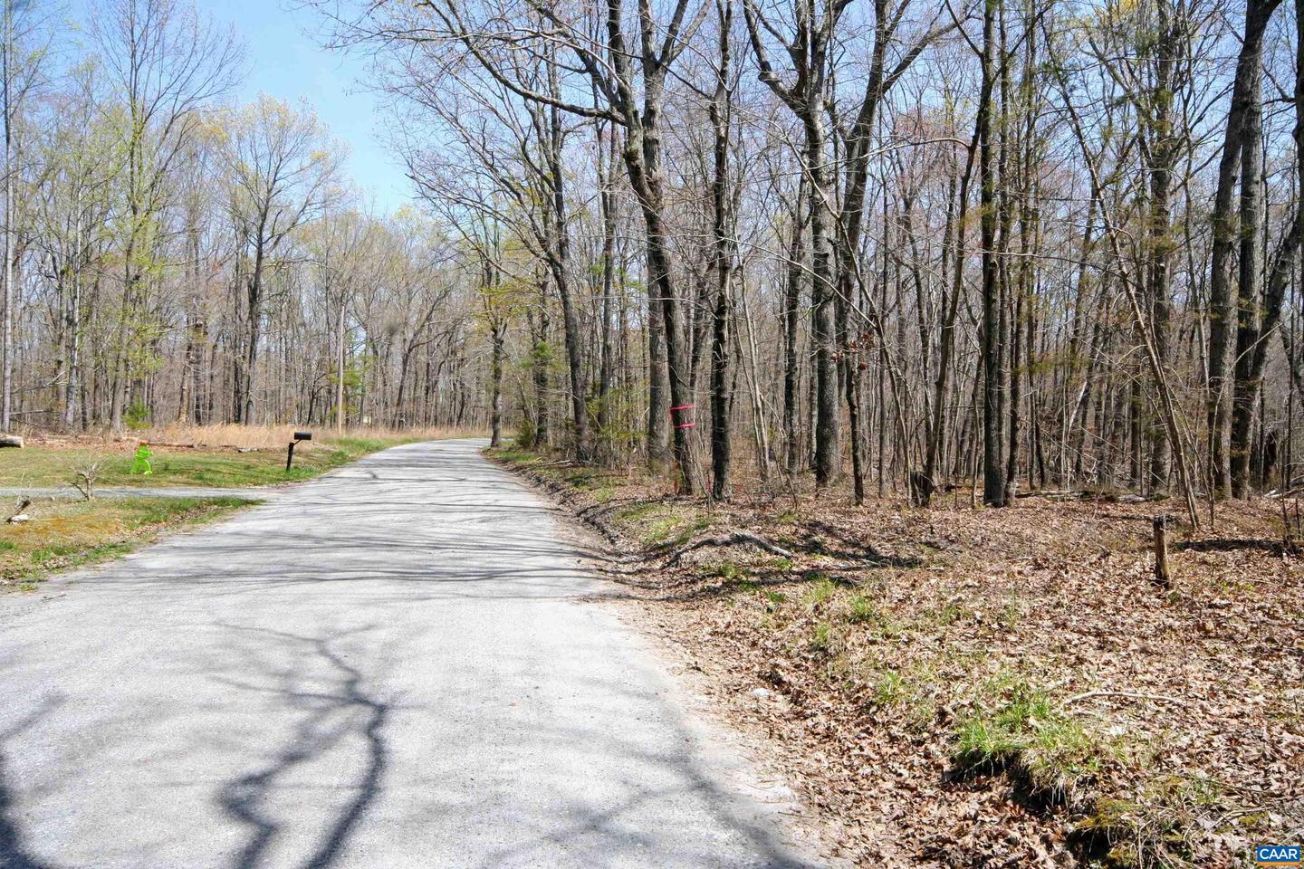 TBD POND RD, BUCKINGHAM, Virginia 23921, ,Land,For sale,TBD POND RD,651650 MLS # 651650