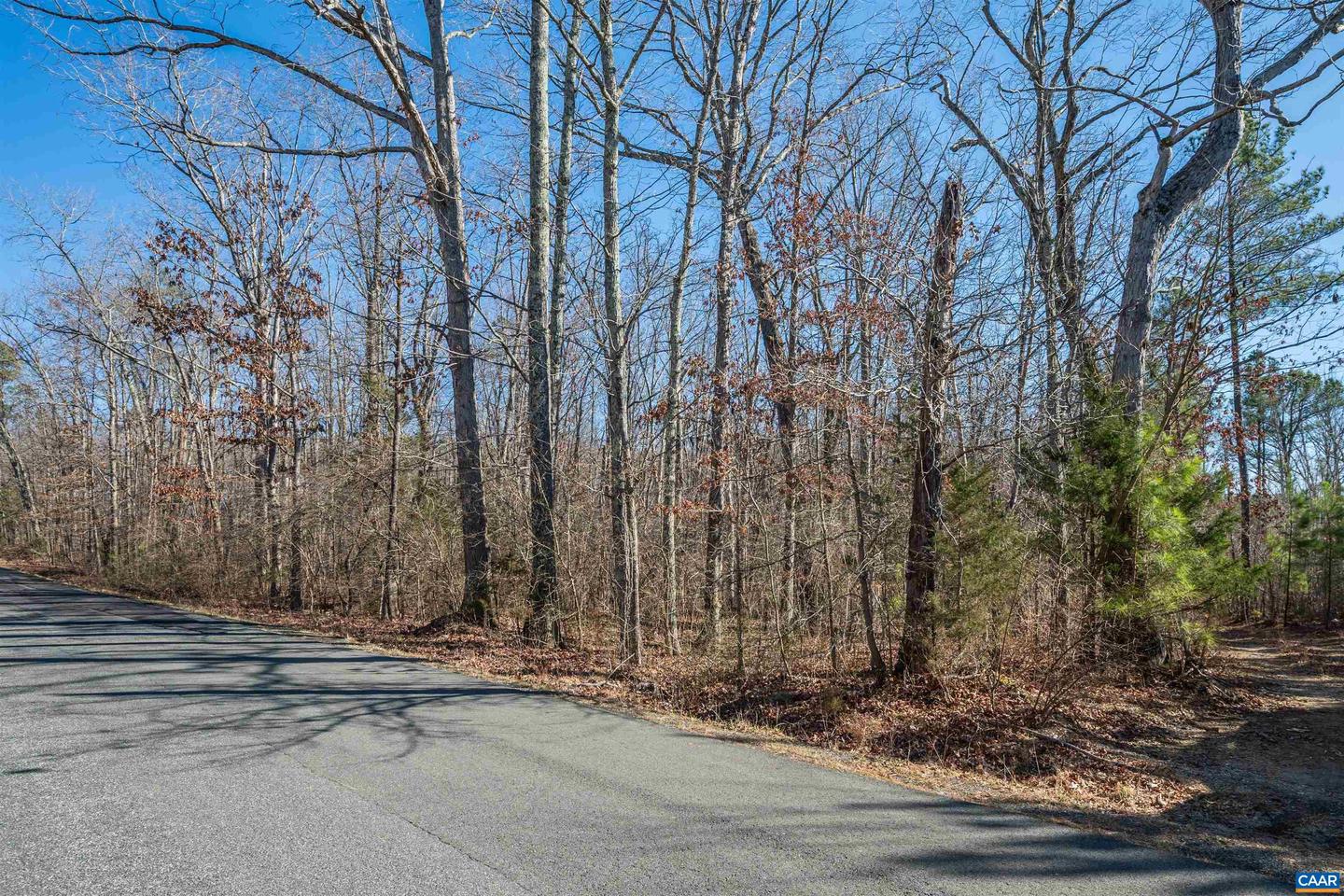 LOT 02900 SECRETARYS RD #02900, SCOTTSVILLE, Virginia 24590, ,Land,For sale,LOT 02900 SECRETARYS RD #02900,649852 MLS # 649852