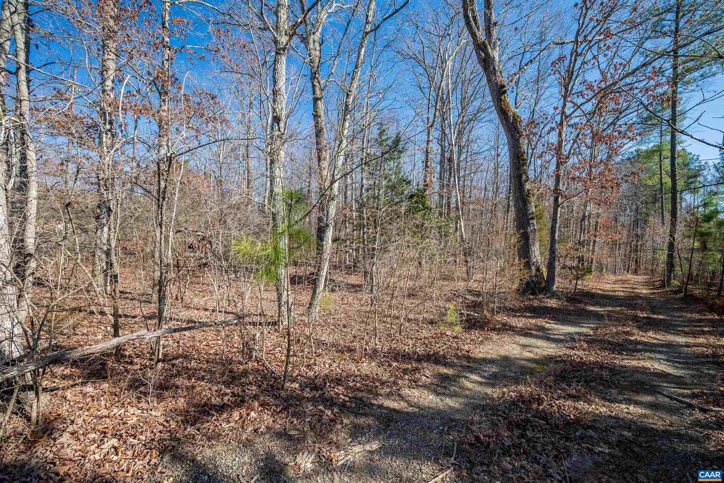 LOT 02900 SECRETARYS RD #02900, SCOTTSVILLE, Virginia 24590, ,Land,For sale,LOT 02900 SECRETARYS RD #02900,649852 MLS # 649852