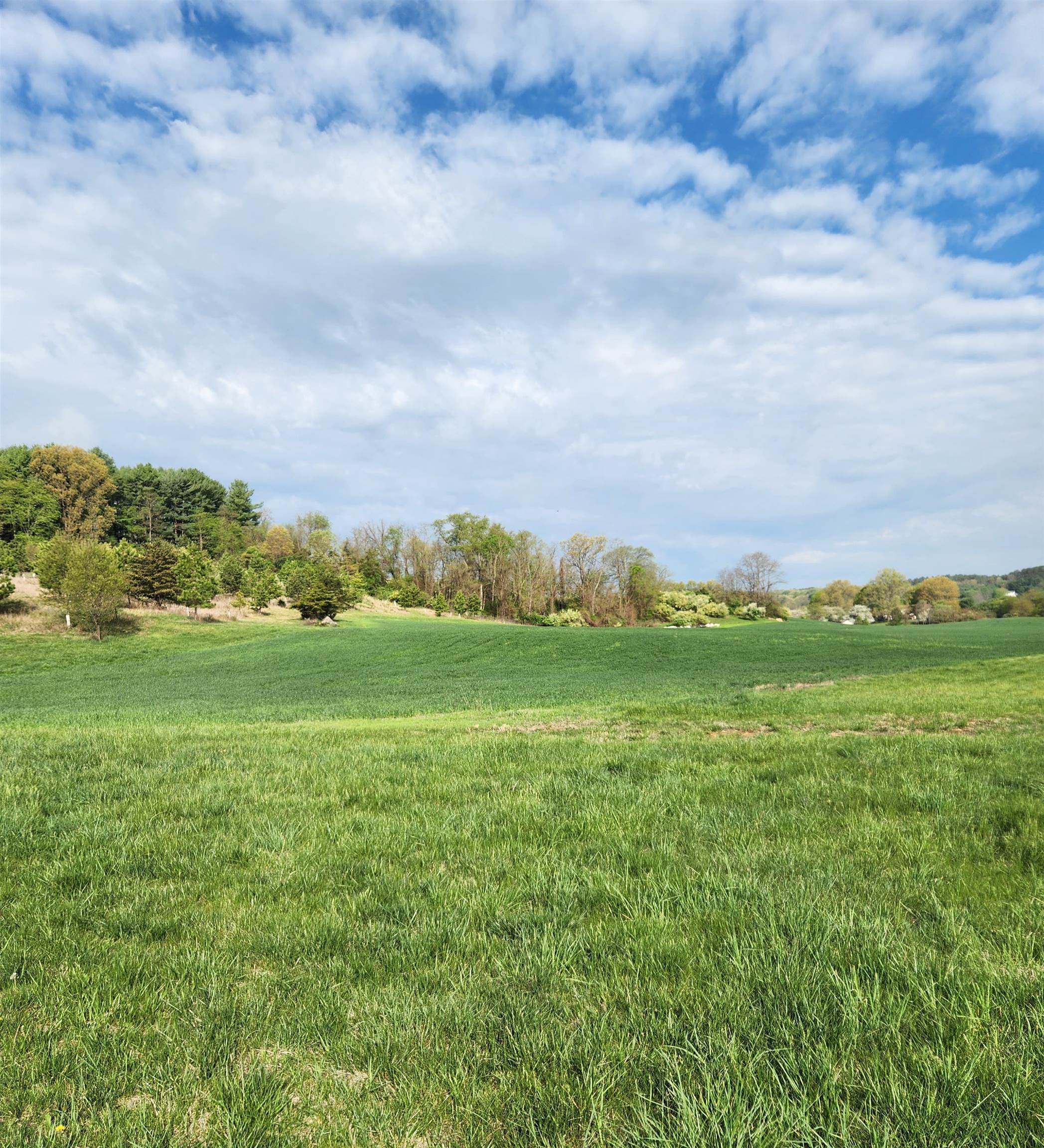 104 CARRSBROOK DR, STAUNTON, Virginia 24401, ,Land,104 CARRSBROOK DR,654285 MLS # 654285