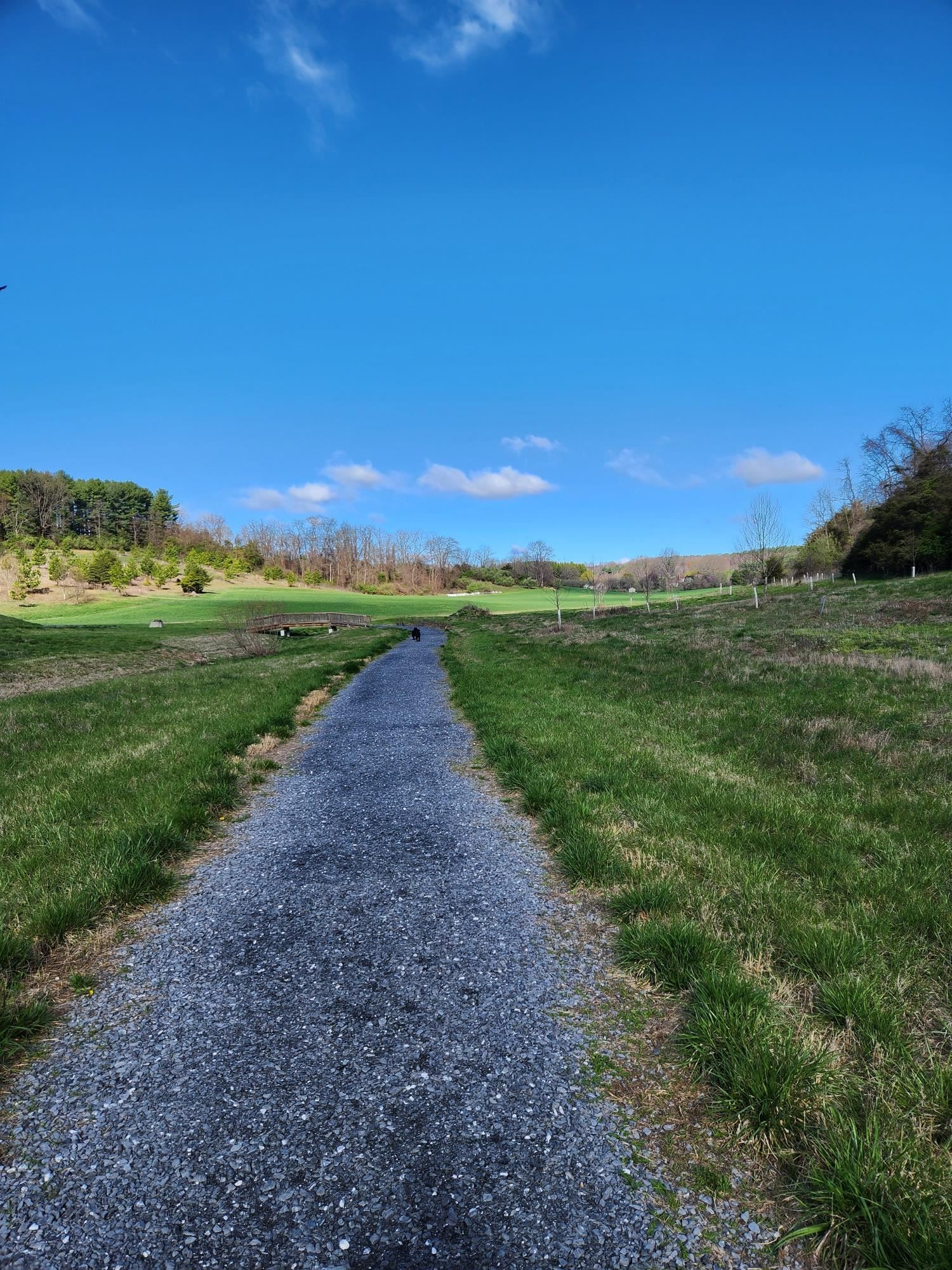 104 CARRSBROOK DR, STAUNTON, Virginia 24401, ,Land,104 CARRSBROOK DR,654285 MLS # 654285