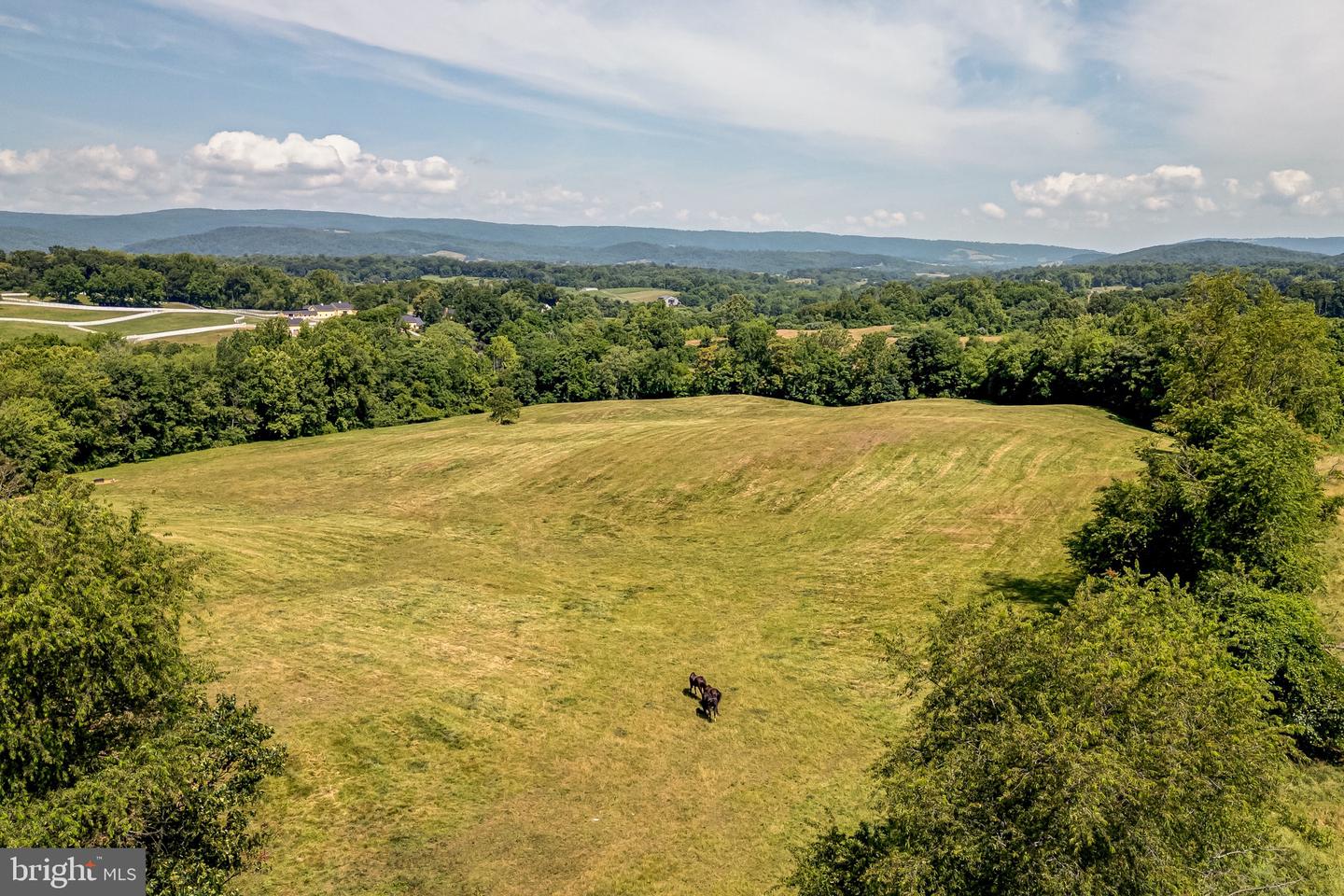 WINCHESTER ROAD, DELAPLANE, Virginia 20144, ,Land,For sale,WINCHESTER ROAD,VAFQ2012956 MLS # VAFQ2012956