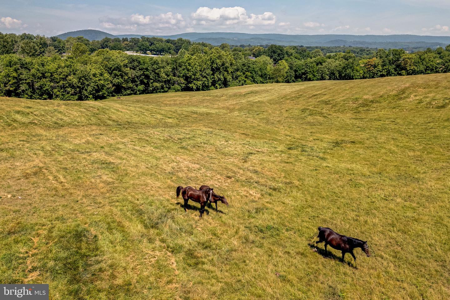 WINCHESTER ROAD, DELAPLANE, Virginia 20144, ,Land,For sale,WINCHESTER ROAD,VAFQ2012956 MLS # VAFQ2012956