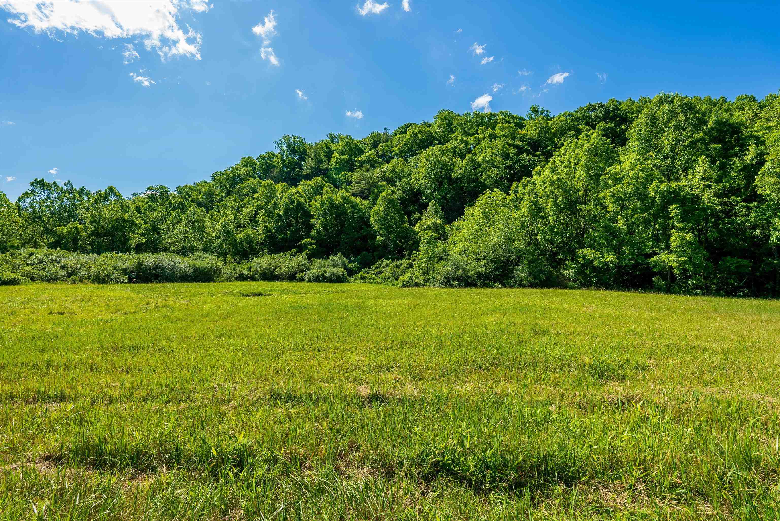 TBD LITTLE CALF PASTURE HWY, SWOOPE, Virginia 24479, ,Land,TBD LITTLE CALF PASTURE HWY,654340 MLS # 654340