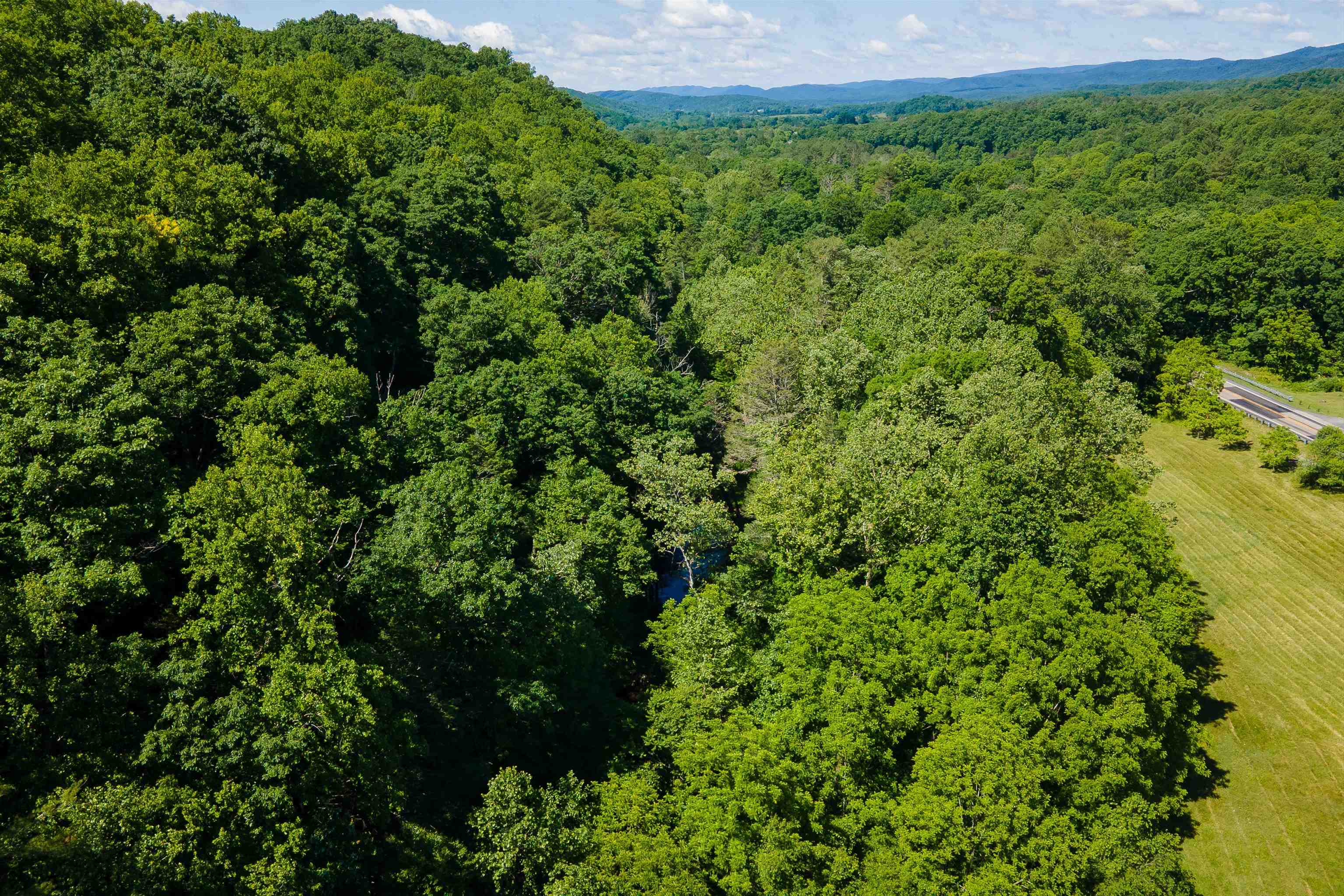 TBD LITTLE CALF PASTURE HWY, SWOOPE, Virginia 24479, ,Land,TBD LITTLE CALF PASTURE HWY,654340 MLS # 654340