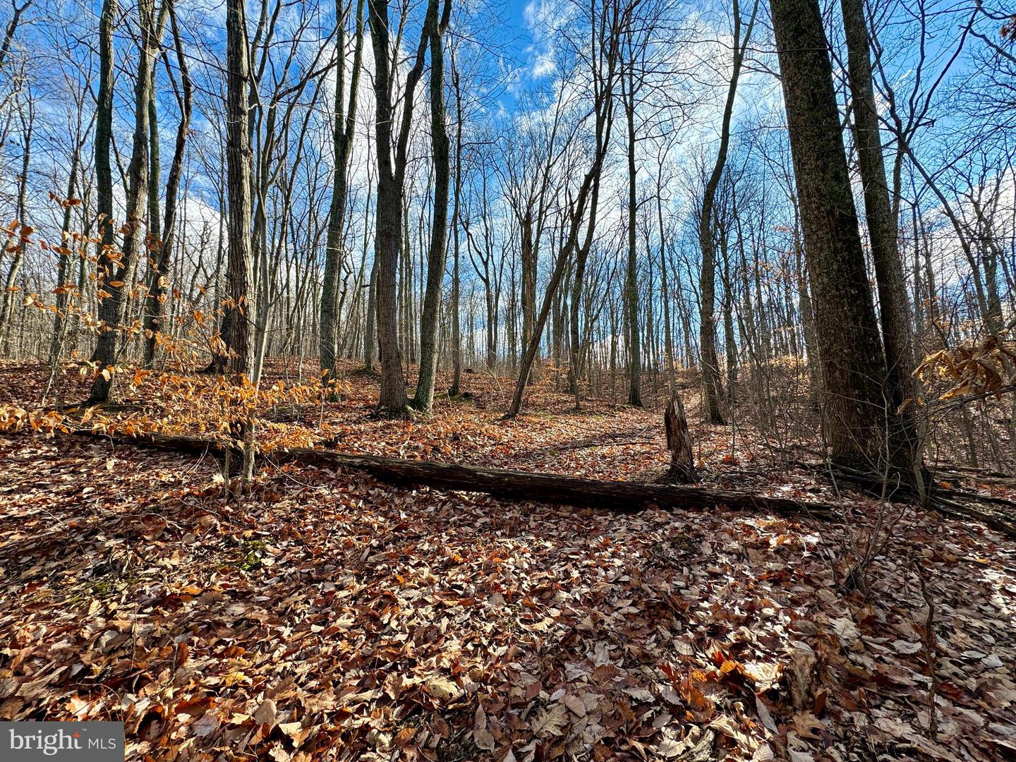 FIERY RUN RD, HUME, Virginia 22639, ,Land,For sale,FIERY RUN RD,VAFQ2010984 MLS # VAFQ2010984