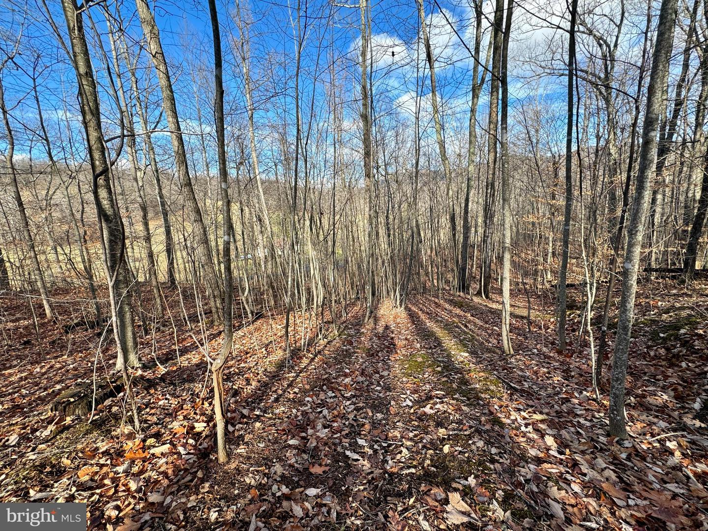 FIERY RUN RD, HUME, Virginia 22639, ,Land,For sale,FIERY RUN RD,VAFQ2010984 MLS # VAFQ2010984