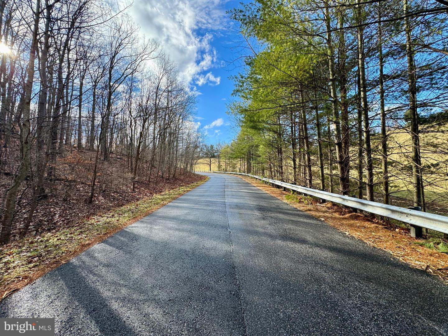 FIERY RUN RD, HUME, Virginia 22639, ,Land,For sale,FIERY RUN RD,VAFQ2010984 MLS # VAFQ2010984