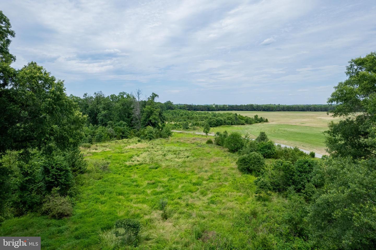 GREENS CORNER RD, CULPEPER, Virginia 22701, ,Land,For sale,GREENS CORNER RD,VACU2008274 MLS # VACU2008274