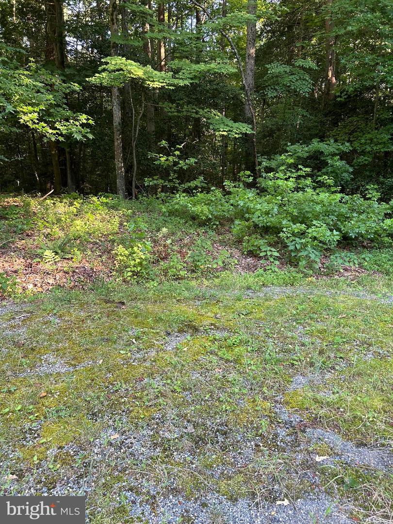 LOT 6 TURKEY RUN CT, MONTROSS, Virginia 22520, ,Land,For sale,-LOT 6 TURKEY RUN CT,VAWE2006962 MLS # VAWE2006962