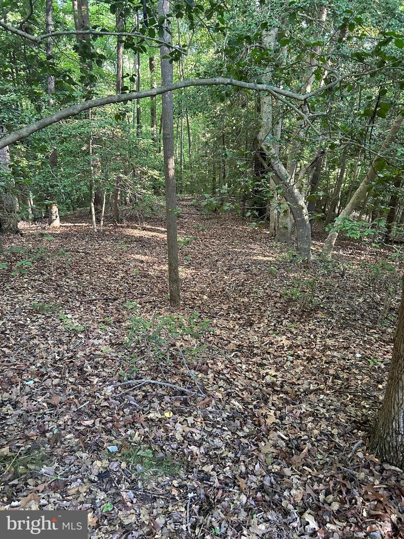 LOT 6 TURKEY RUN CT, MONTROSS, Virginia 22520, ,Land,For sale,-LOT 6 TURKEY RUN CT,VAWE2006962 MLS # VAWE2006962