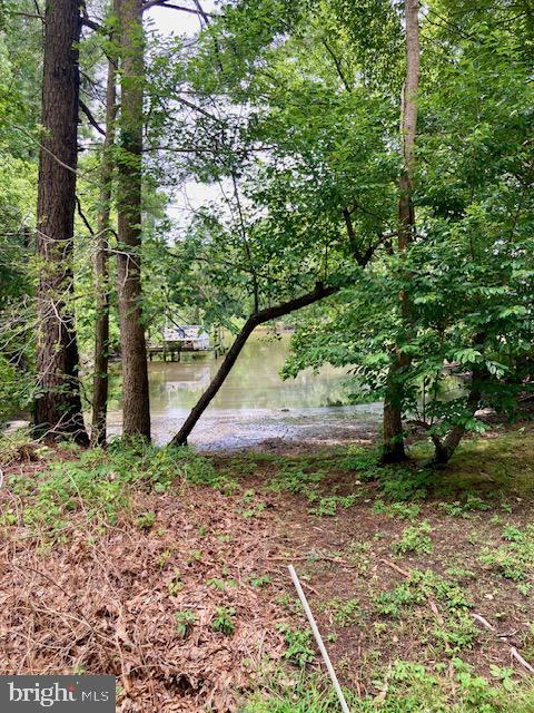 LOT 34 RILEY LN, BURGESS, Virginia 22432, ,Land,For sale,LOT 34 RILEY LN,VANV2001198 MLS # VANV2001198