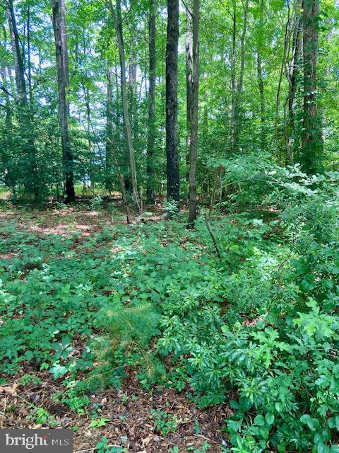 LOT 34 RILEY LN, BURGESS, Virginia 22432, ,Land,For sale,LOT 34 RILEY LN,VANV2001198 MLS # VANV2001198