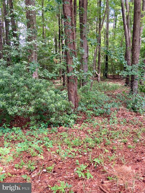 LOT 34 RILEY LN, BURGESS, Virginia 22432, ,Land,For sale,LOT 34 RILEY LN,VANV2001198 MLS # VANV2001198