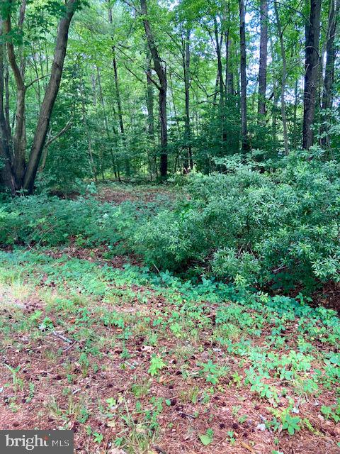 LOT 34 RILEY LN, BURGESS, Virginia 22432, ,Land,For sale,LOT 34 RILEY LN,VANV2001198 MLS # VANV2001198