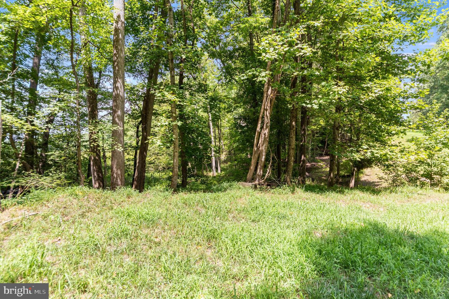 80 SHADY COVE LN, STAFFORD, Virginia 22554, ,Land,For sale,80 SHADY COVE LN,VAST2030864 MLS # VAST2030864