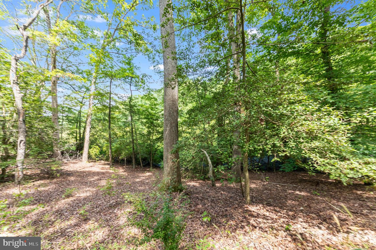 80 SHADY COVE LN, STAFFORD, Virginia 22554, ,Land,For sale,80 SHADY COVE LN,VAST2030864 MLS # VAST2030864