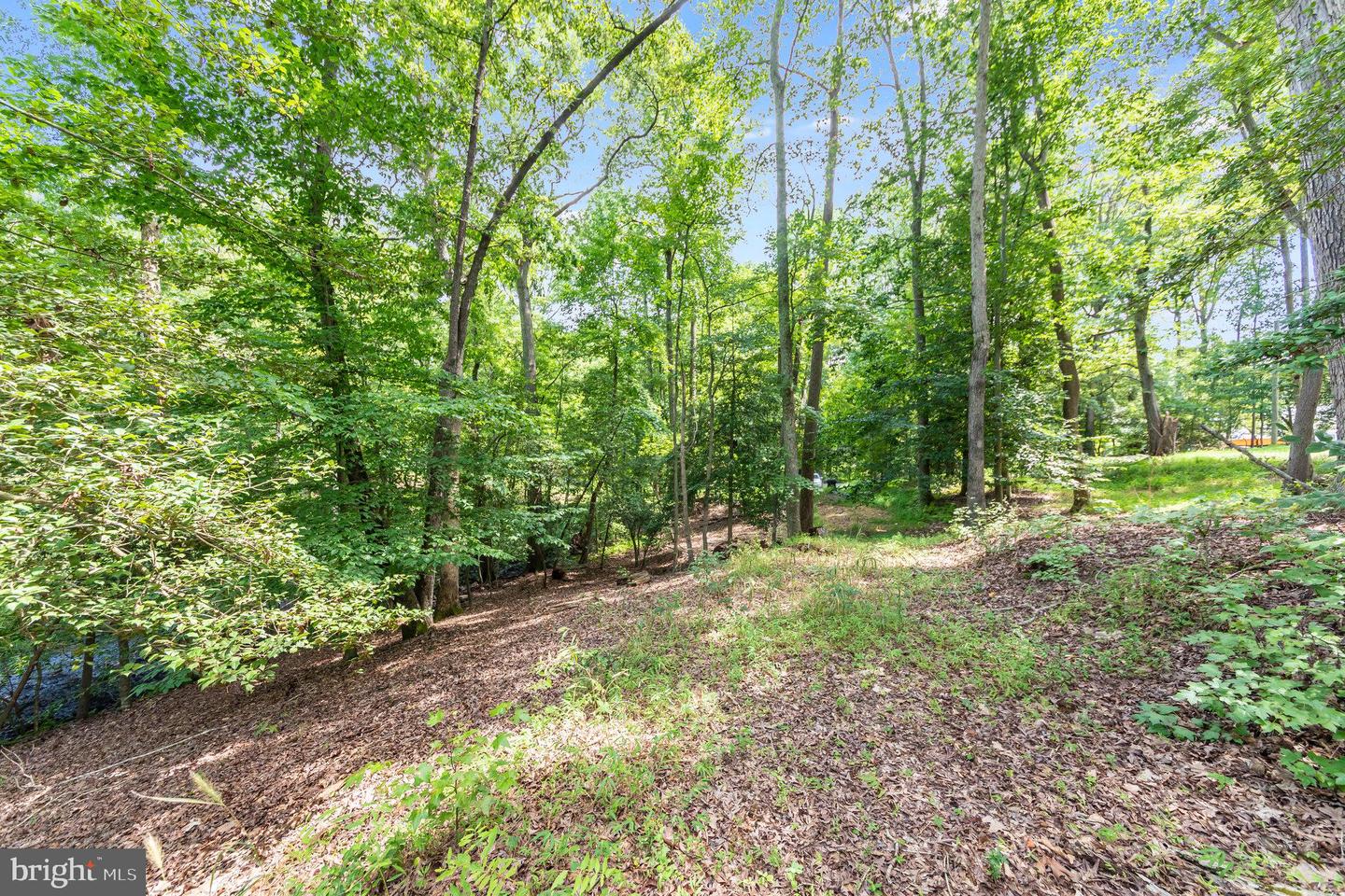 80 SHADY COVE LN, STAFFORD, Virginia 22554, ,Land,For sale,80 SHADY COVE LN,VAST2030864 MLS # VAST2030864