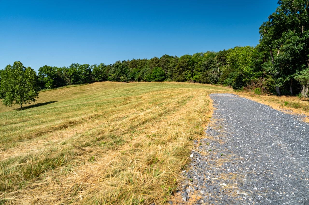 Lot 6 SHULER LN, STANLEY, Virginia 22851, ,Land,Lot 6 Promise View Farm,Lot 6 SHULER LN,654602 MLS # 654602